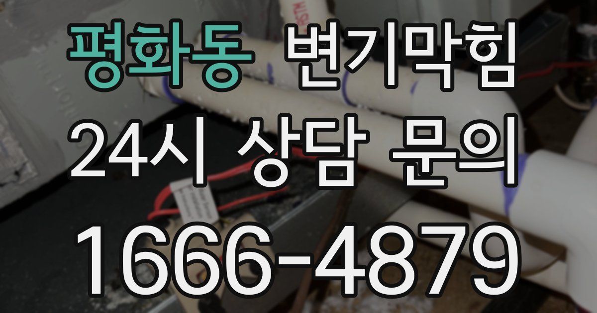평화동 변기