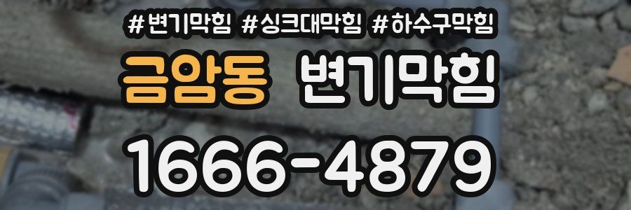 변기막힘