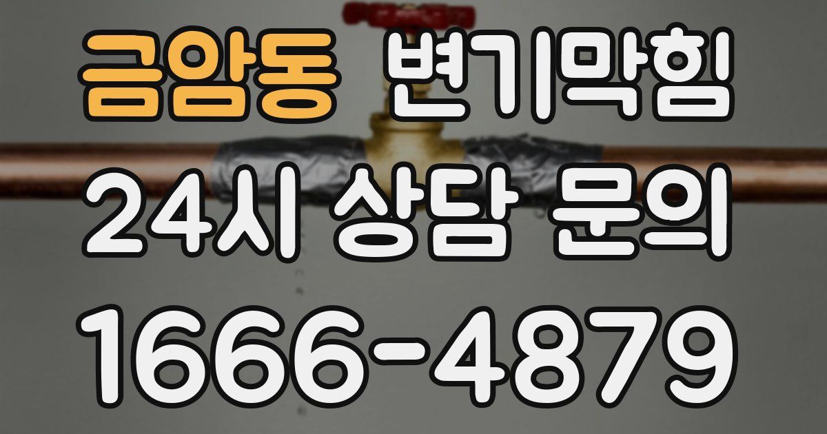 금암동 변기