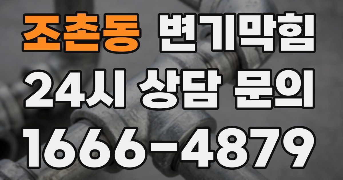 조촌동 변기