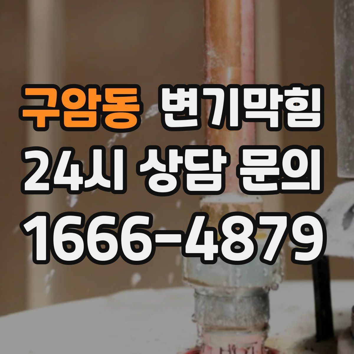 구암동 변기막힘