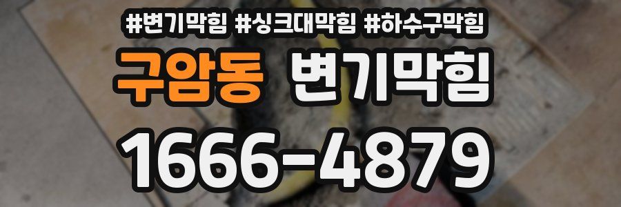 변기막힘