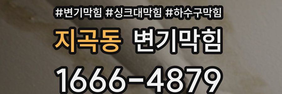 변기막힘