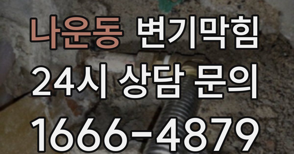 나운동 변기