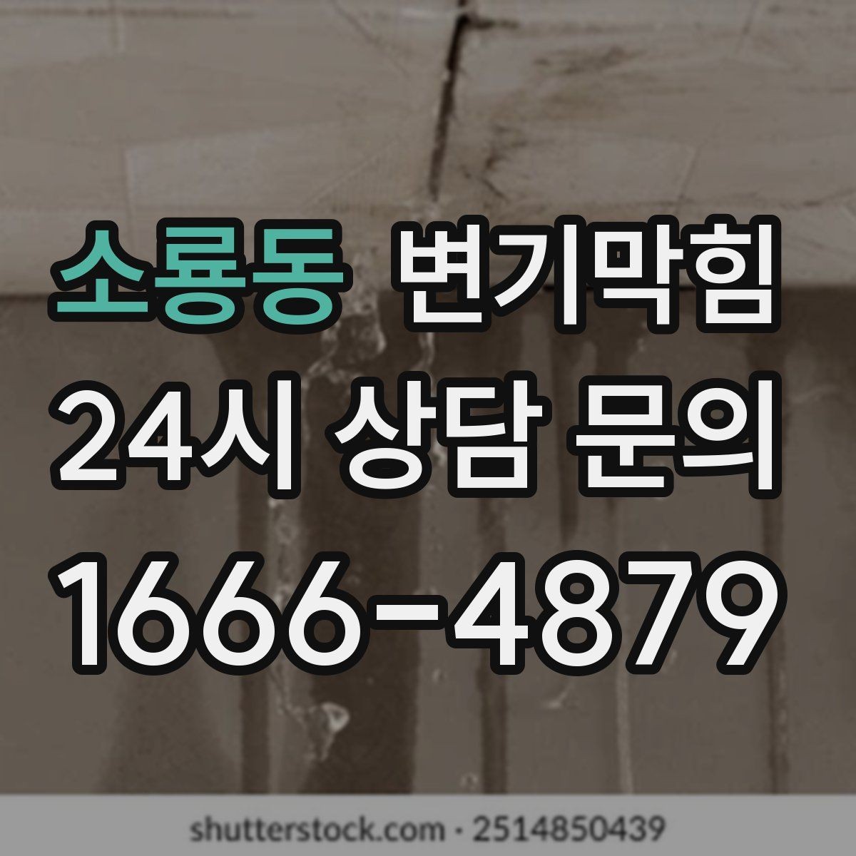 소룡동 변기막힘 카페 배수구막힘 오픈 전 1시간 솔루션