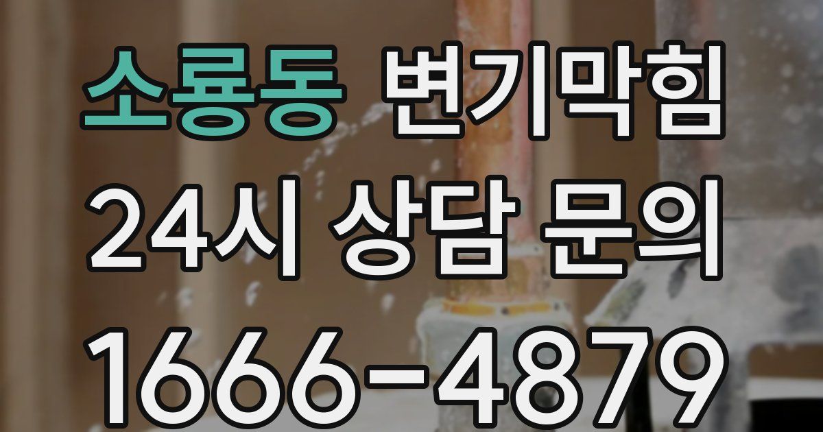 소룡동 변기