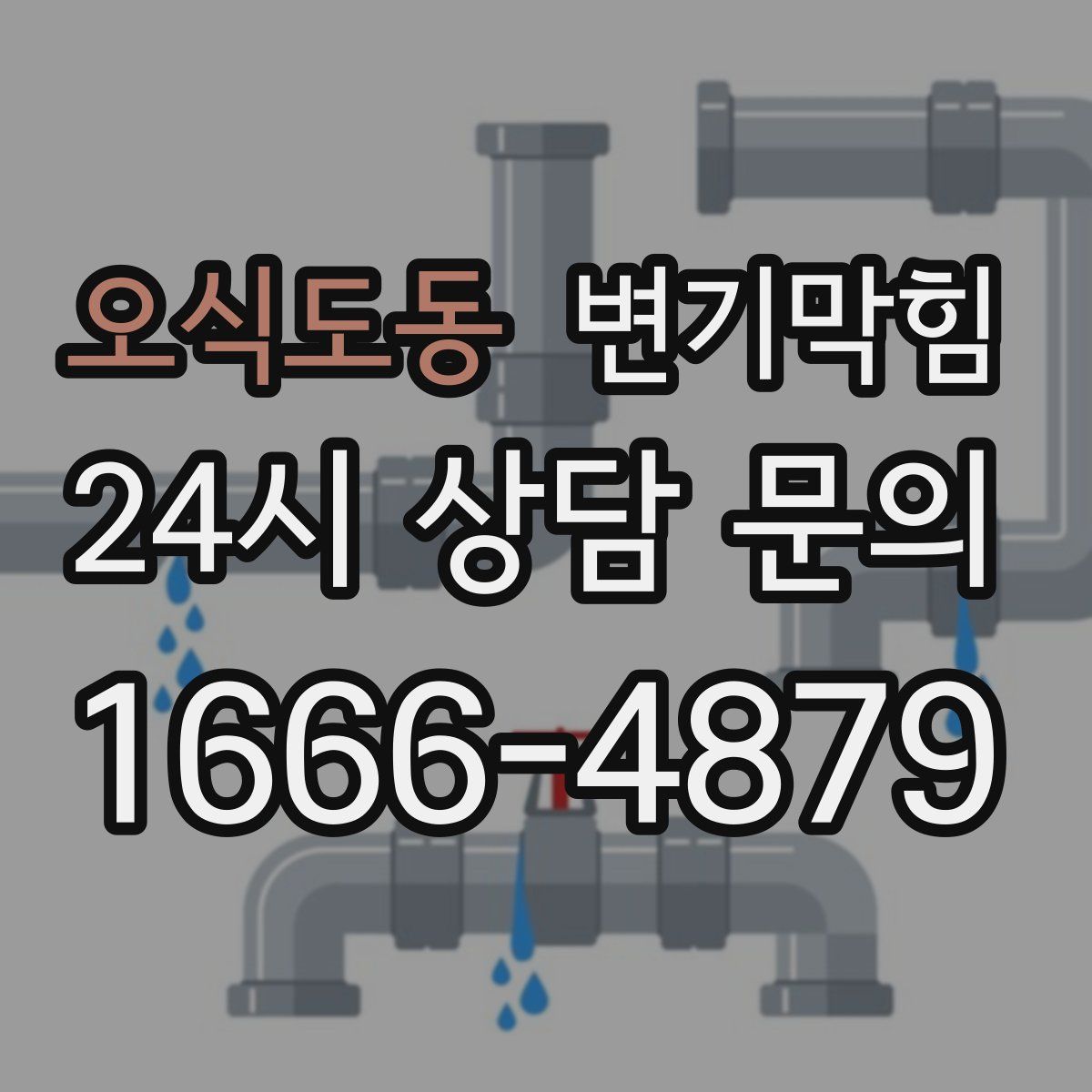 오식도동 변기막힘