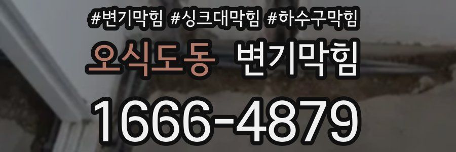 변기막힘