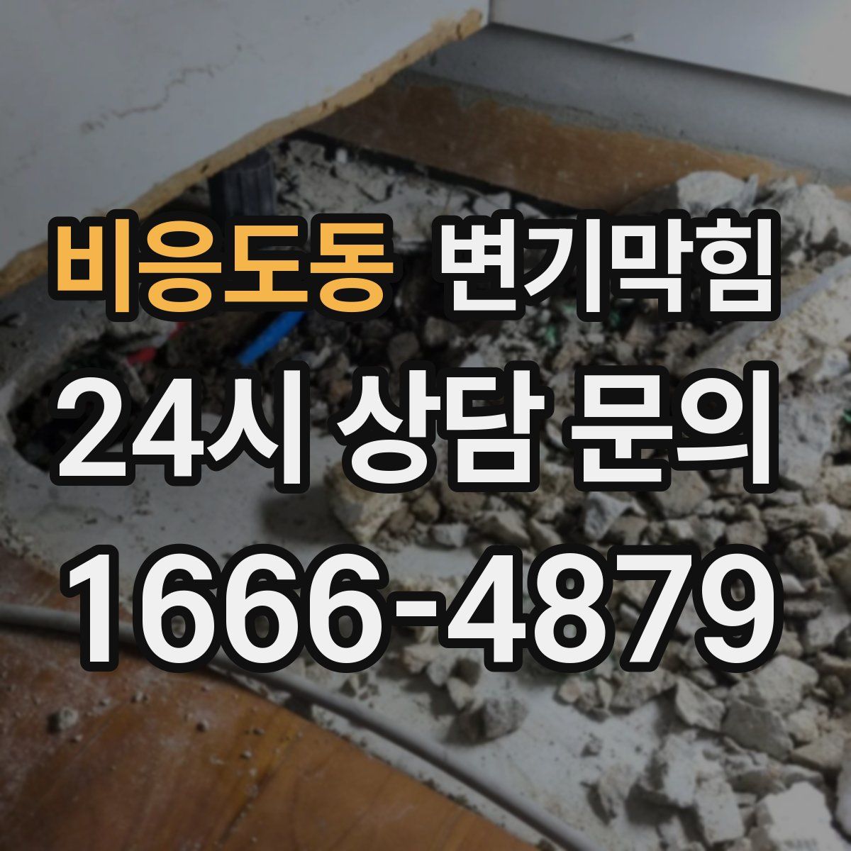 비응도동 변기막힘