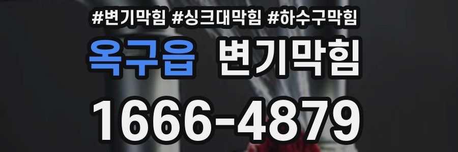 변기막힘