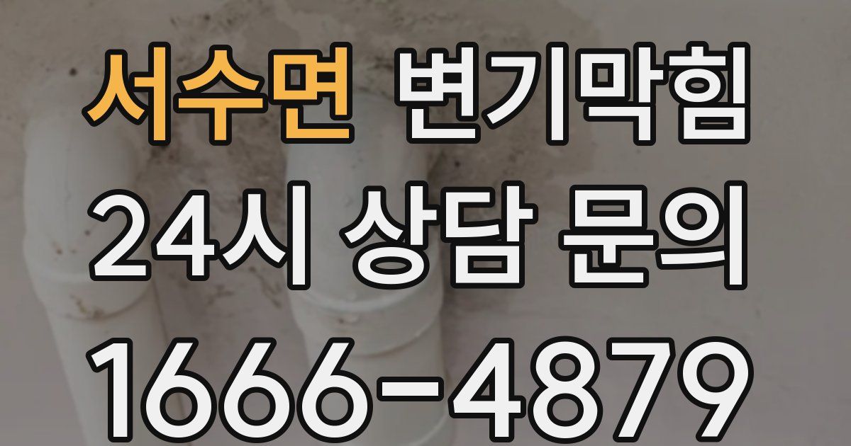 서수면 변기