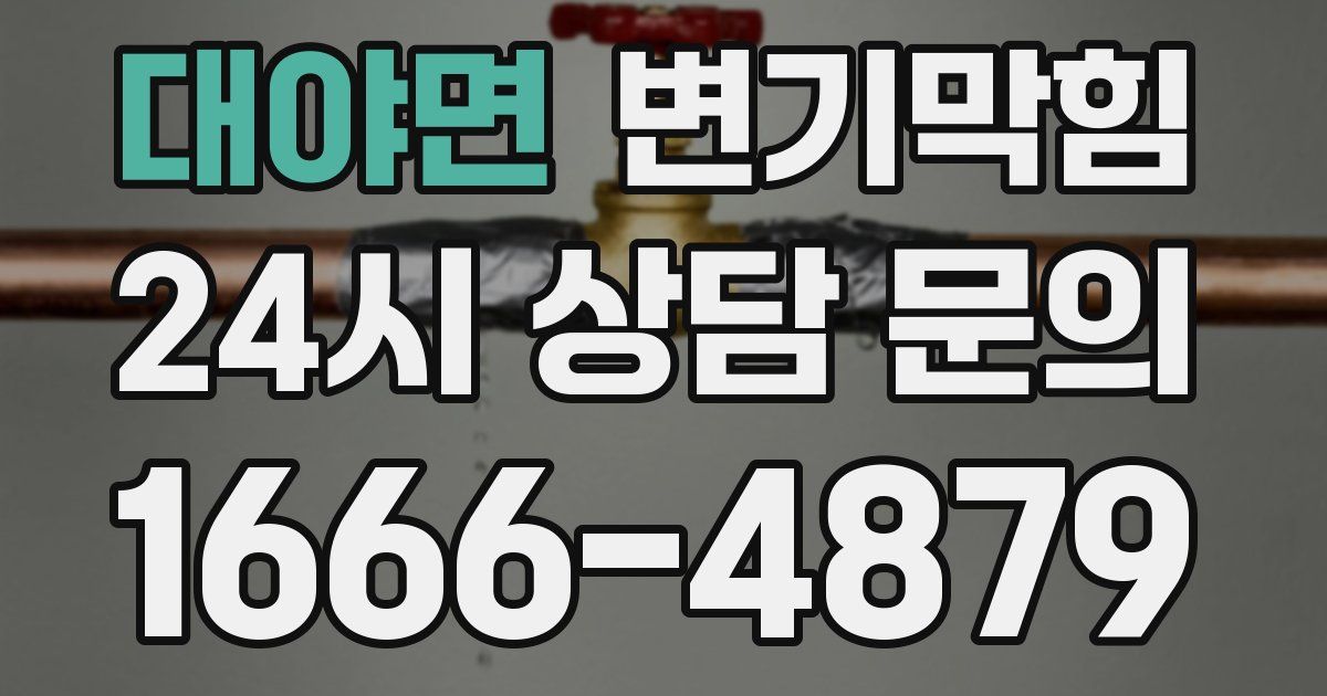 대야면 변기