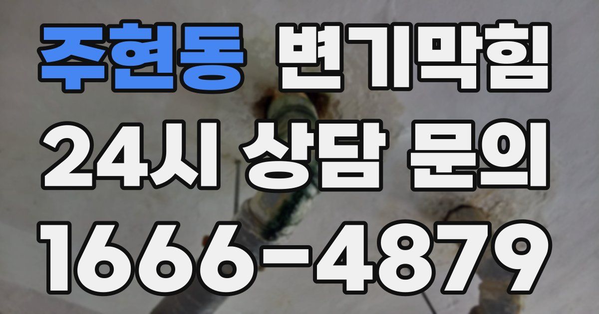 주현동 변기