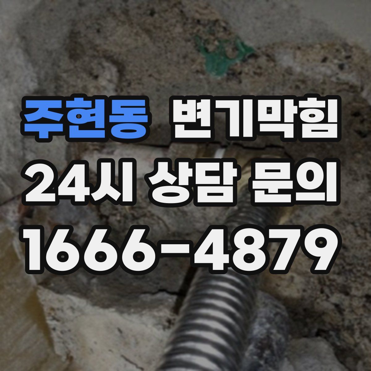 주현동 변기막힘