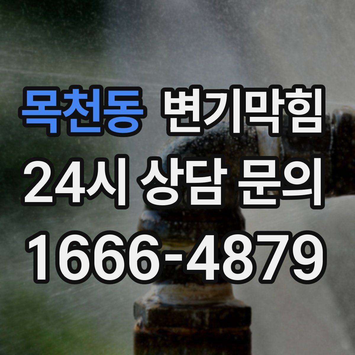 목천동 변기막힘