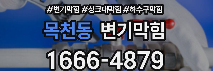 변기막힘
