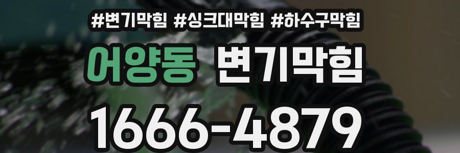 변기막힘