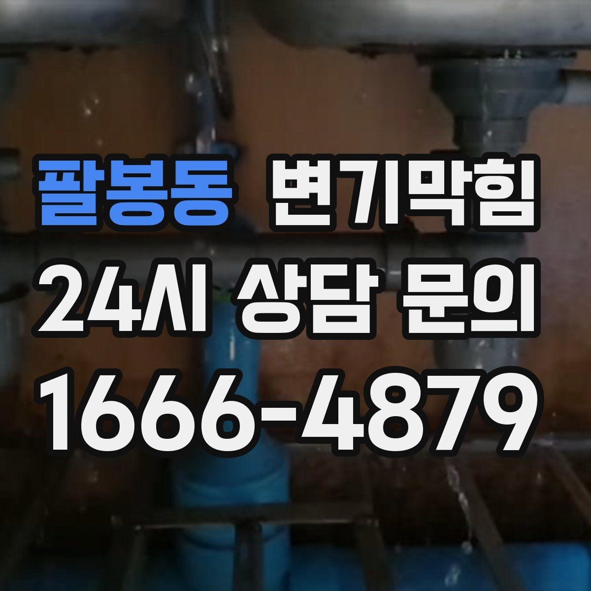 팔봉동 변기막힘 식당 화장실역류 합류 압력 재튜닝 성공