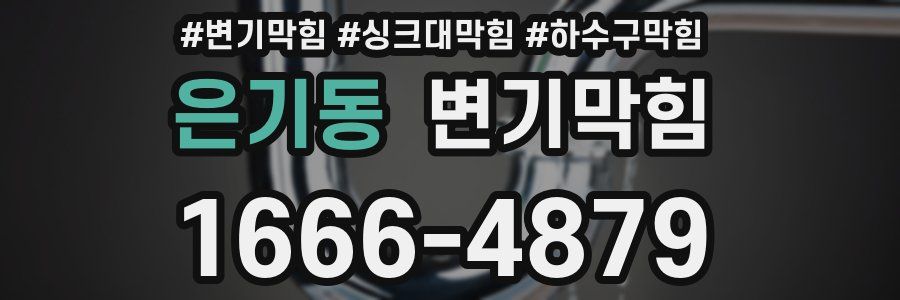 변기막힘