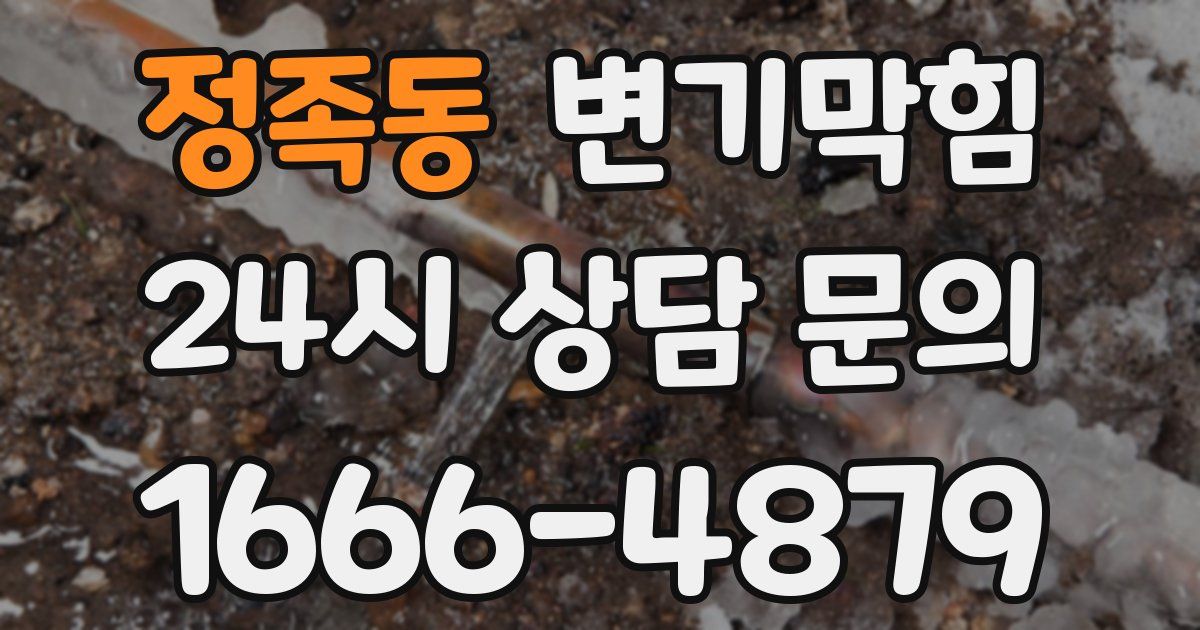 정족동 변기