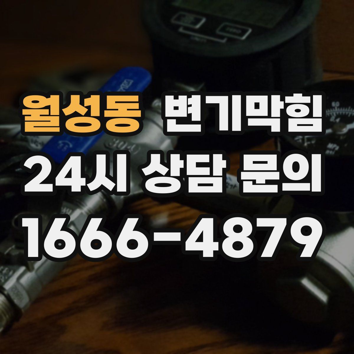 월성동 변기막힘