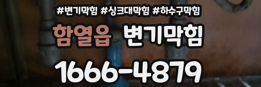 변기막힘