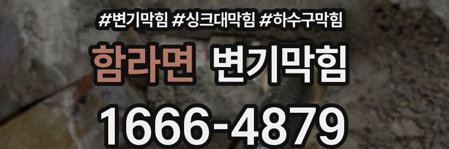 변기막힘