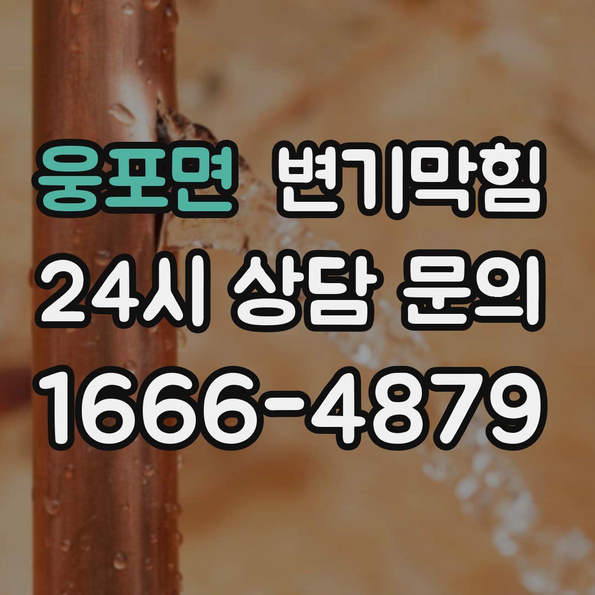 웅포면 변기막힘