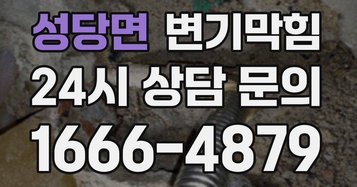 성당면 변기