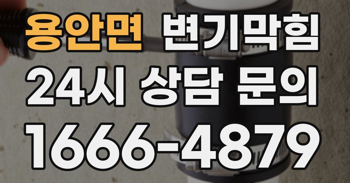 용안면 변기