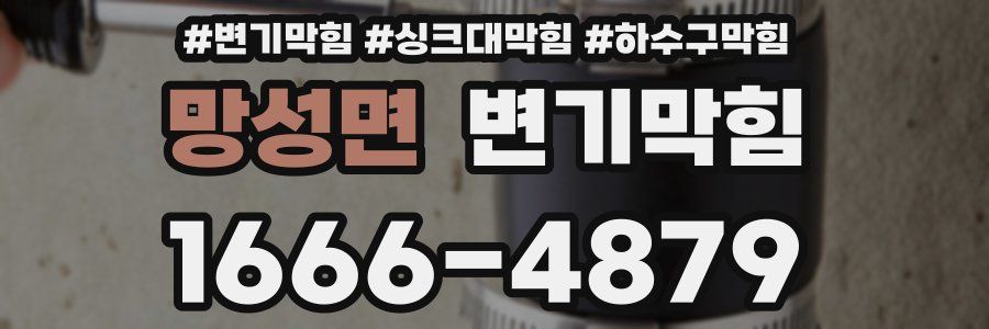 변기막힘