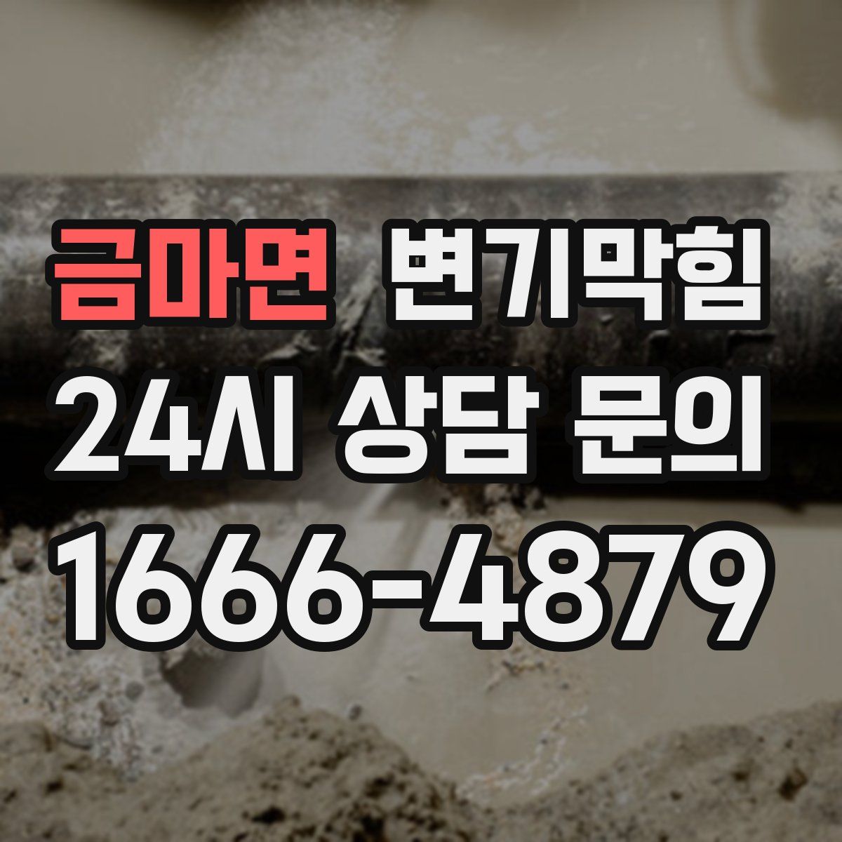 금마면 변기막힘