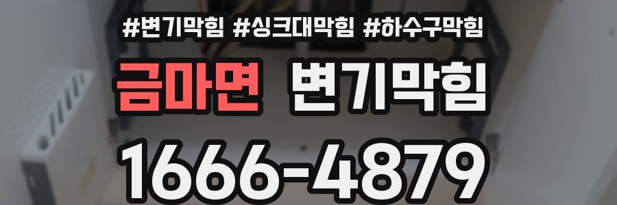 변기막힘