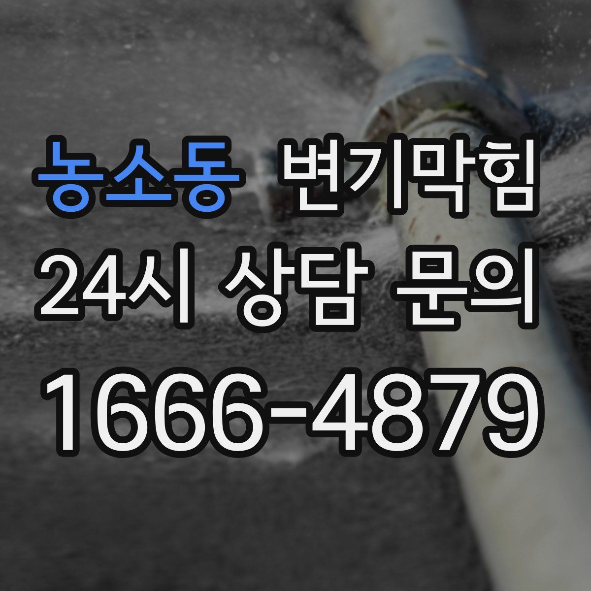 농소동 변기막힘