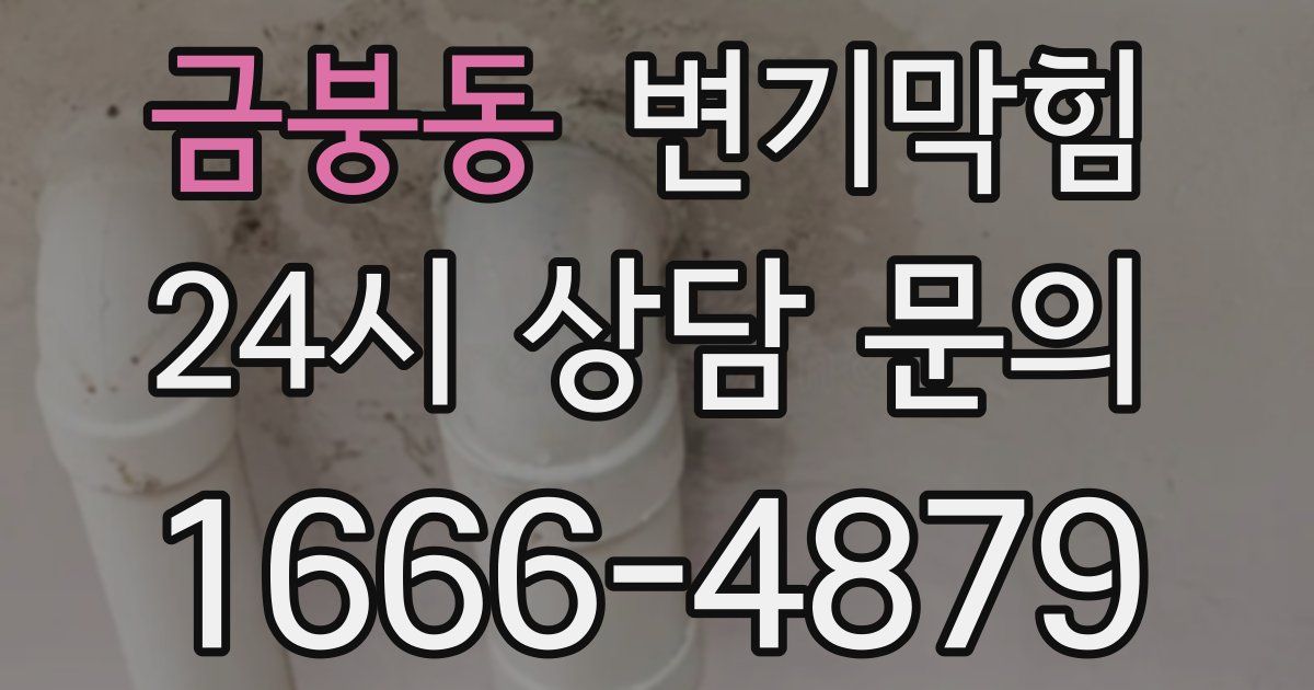 금붕동 변기