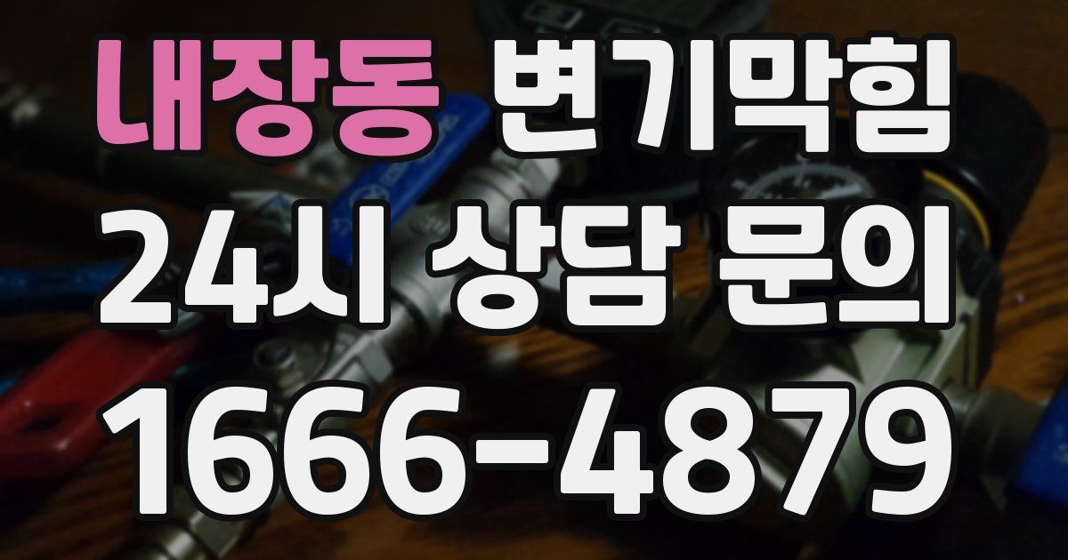 내장동 변기
