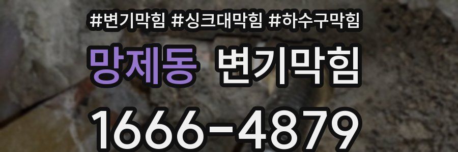 변기막힘