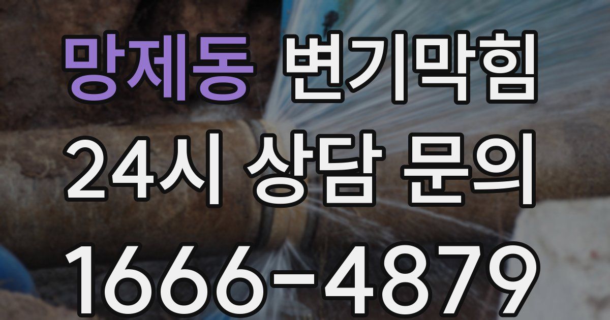 망제동 변기
