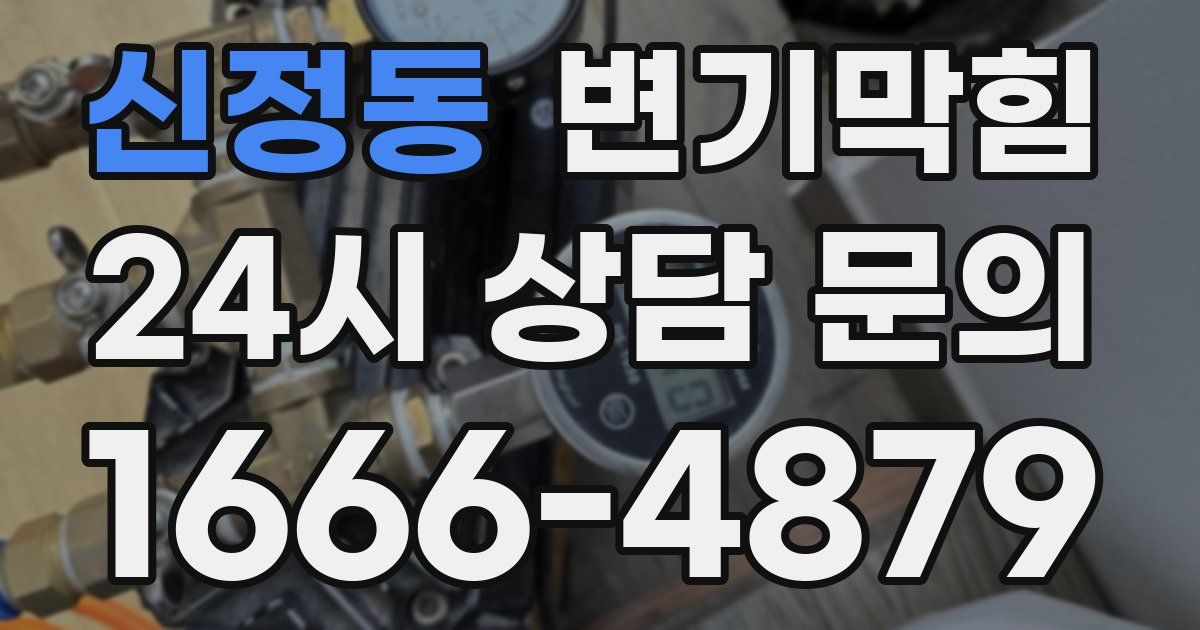 신정동 변기