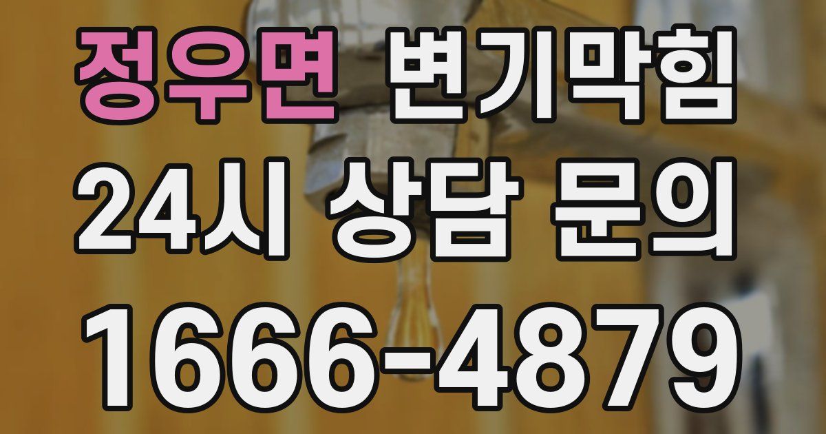 정우면 변기