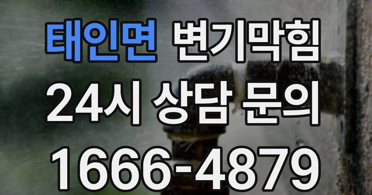 태인면 변기