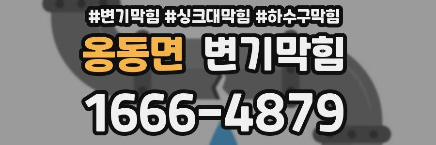 변기막힘