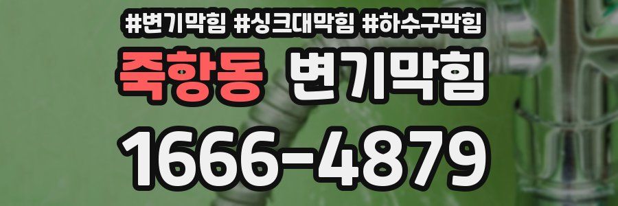 변기막힘