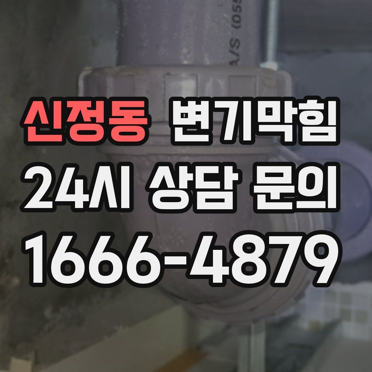 신정동 변기막힘 카페 화장실역류 오픈 전 점검 루틴