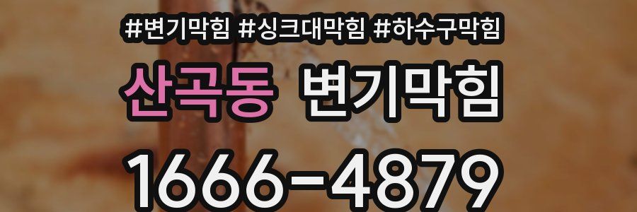 변기막힘