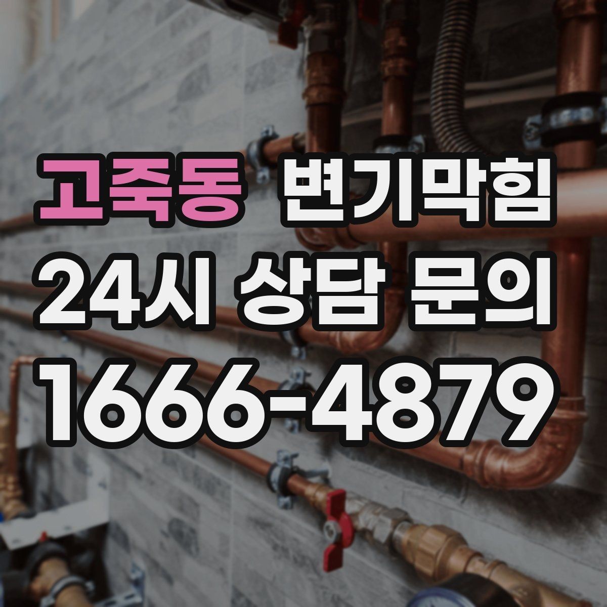 고죽동 변기막힘 빌라 배수구막힘 세대 동시 점검