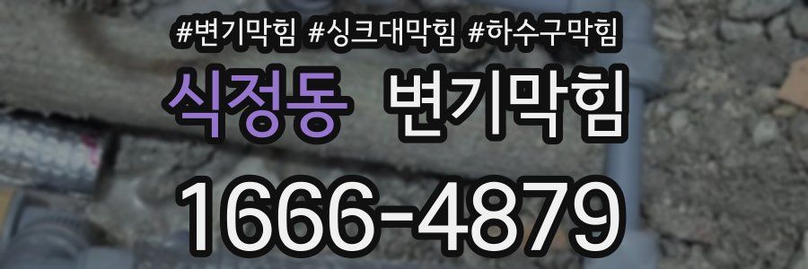 변기막힘