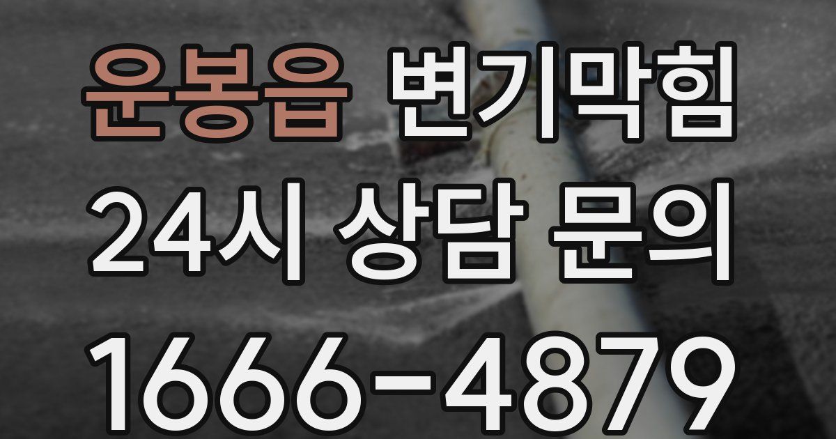 운봉읍 변기