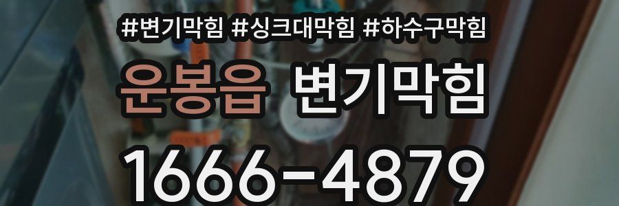 변기막힘