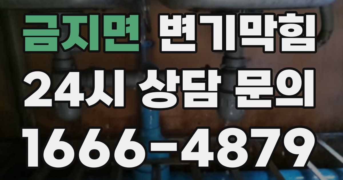 금지면 변기